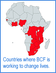 Countires where BCF are active in Africa